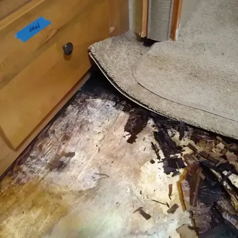 Best Wood Floor Water Damage Service in Clatsop County, OR